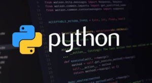 python logo