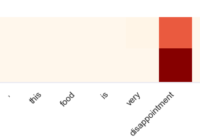 sentence attention visualization