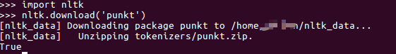 nltk download punkt