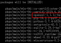 python 3.7 openssl