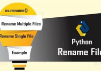 python rename file