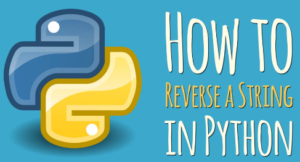 reverse a python string