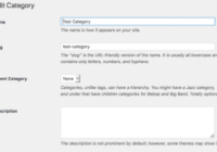 wordpress cateory information