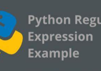 Python Regular Expressions Flags