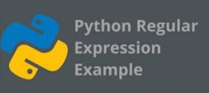 Python Regular Expressions Flags