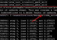 Converting sparse IndexedSlices to a dense Tensor of unknown shape