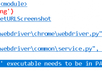 Fix Selenium 'chromedriver' executable needs to be in PATH - Python Tutorial