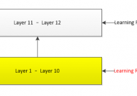 Train different neural layers with different learning rate