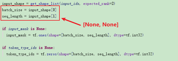 the shape of bert inputs