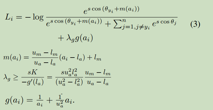 MagFace equations