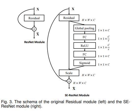 Residual network and Squeeze-and-Excitation (SE) block