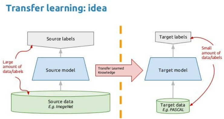 PyTorch Freeze Some Layers or Parameters When Training - PyTorch Tutorial