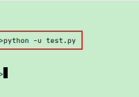 Understand python -u Command in the Terminal - Python Tutorial