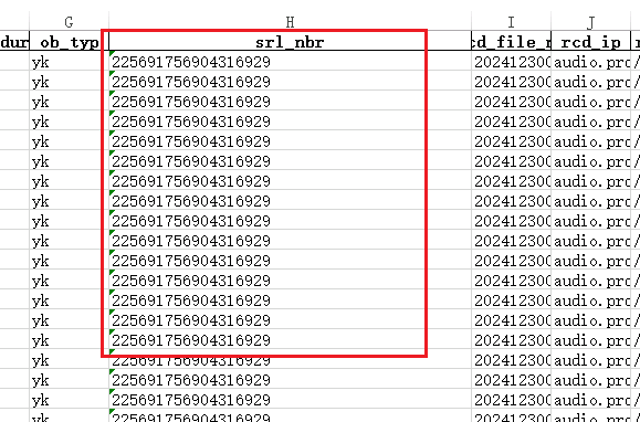 Python CSV to Excel - Avoiding Scientific Notation Rounding Example